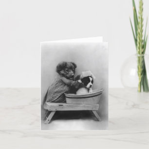 Dog Bathing Karte