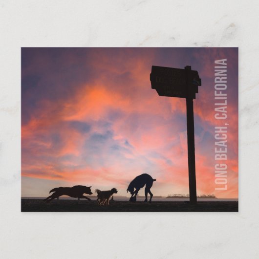 Dog Beach bei Sunset - Long Beach, Kalifornien Postkarte (Vorderseite)