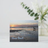 Dog Beach, Ocean Beach Postkarte (Stehend Vorderseite)