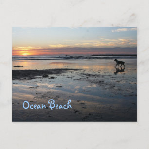 Dog Beach, Ocean Beach Postkarte