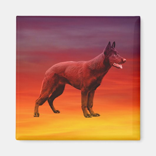 Dog Beach Portrait Magnet (Vorne)