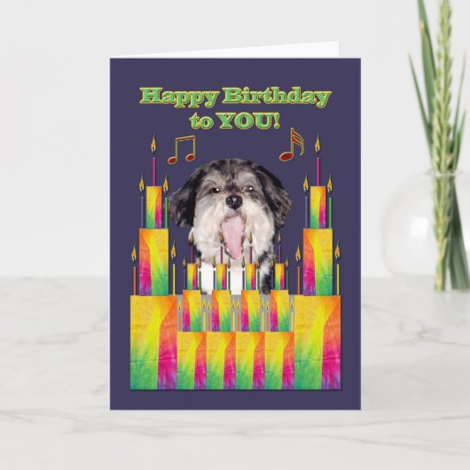 Dog Birthday Cakes Singing Karte (Vorderseite)