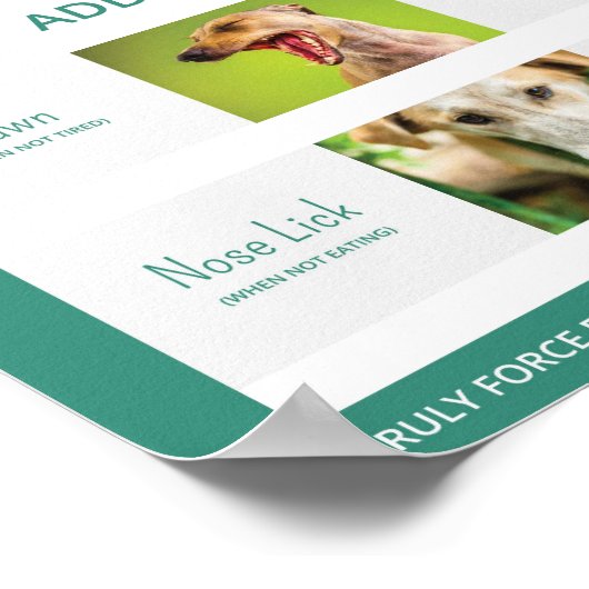 Dog Body Language 16 x 20 Poster verstehen (Ecke)