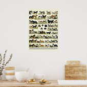 Dog Breeds color Illustrations Poster (Küche)
