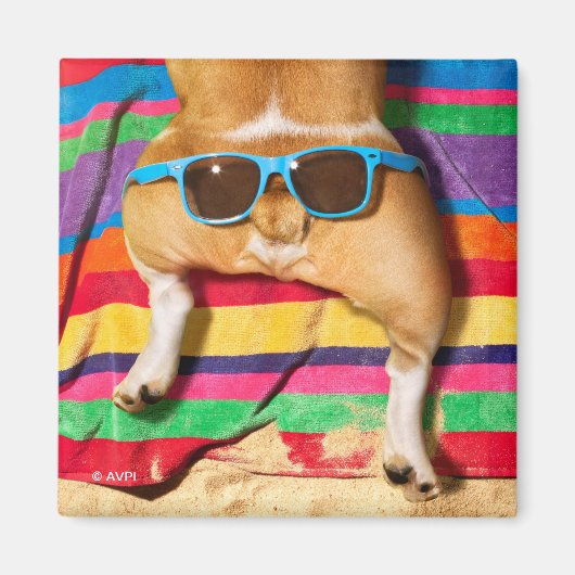 Dog Butt With Sunglasses Magnet (Vorne)