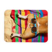 Dog Butt With Sunglasses Magnet (Horizontal)