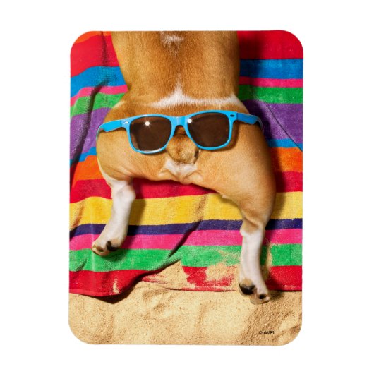 Dog Butt With Sunglasses Magnet (Vertikal)