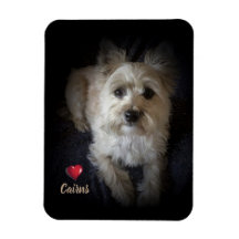 Dog Cairn Terrier "Dog Lover" Flexible Magnet