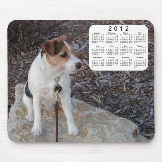 Dog Calendar 2012 Mousepad (Vorne)