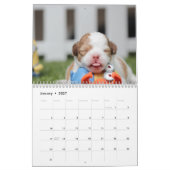 Dog Calendar 2016 Anpassbar Foto und Text hinzufüg Kalender (Jan 2027)