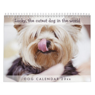 Dog Calendar 2025 Niedliche Foto hinzufügen Kalender