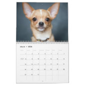 Dog Calendar 2026 Foto und Text hinzufügen Kalender (Mär 2026)
