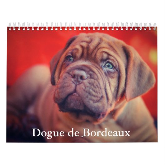 Dog Calendar Kalender (Titelbild)