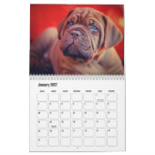 Dog Calendar Kalender (Jan 2027)