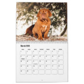 Dog Calendar Kalender (Mär 2026)