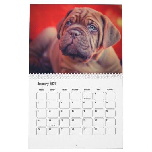 Dog Calendar Kalender (Jan 2026)