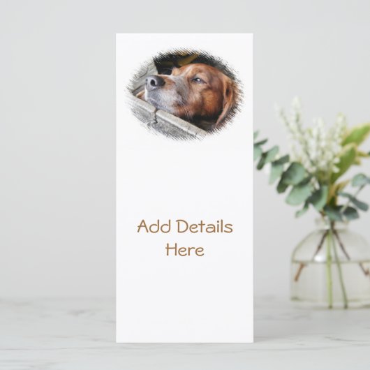 DOG CARDS (Stehend Vorderseite)