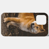 Dog Case-Mate iPhone Case (Rückseite (Horizontal))