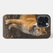 Dog Case-Mate iPhone Case Hülle (Rückseite (Horizontal))