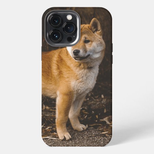 Dog Case-Mate iPhone Case Hülle (Rückseite)
