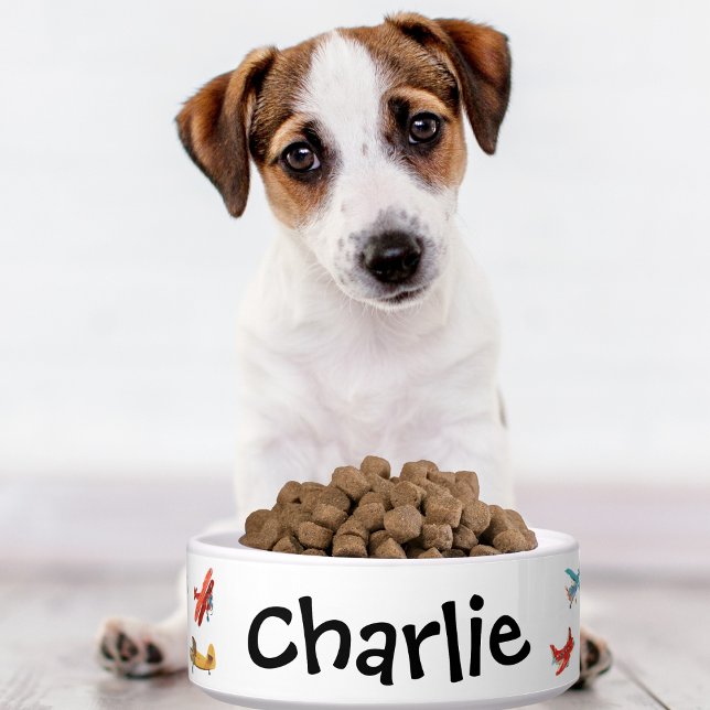 Dog Cat Bowl Niedliche Aquarell Flugzeug Name Cust Napf (Von Creator hochgeladen)