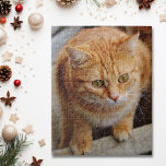Dog Cat Foto Template Fun personalisieren Benutzer Puzzle<br><div class="desc">Dieses Design wurde durch digitale Kunst erstellt und kann personalisiert werden, indem Sie auf den Knopf Anpassen klicken und die Farbe ändern, einen Namen, Initialen oder Ihre Lieblingssprache hinzufügen. Kontaktieren Sie mich unter colorflowcreations@gmail.com , wenn Sie dieses Design für ein anderes Produkt haben möchten. Kaufen Sie meine originale abstrakte Acrylmalerei...</div>
