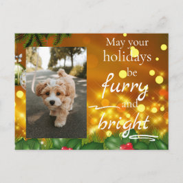 Dog Cat Pet Custom Photo Christmas Postcard Funny Feiertagspostkarte