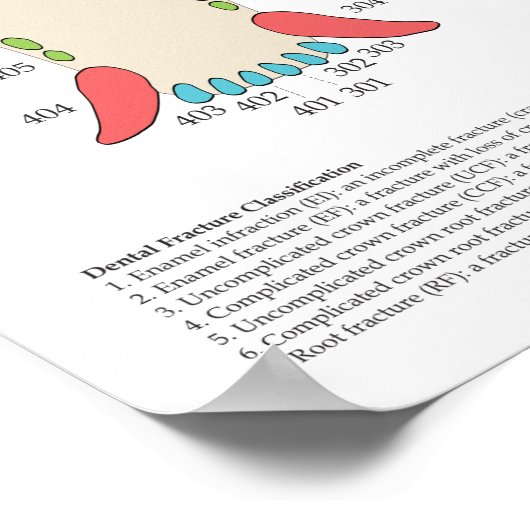 Dog Cat Veterinary Dental Chart Poster (Ecke)