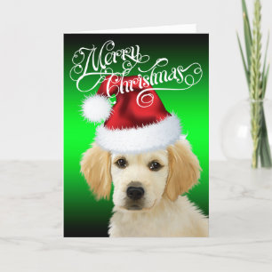 DOG Christmas   Adorable Golden Santa Puppy Feiertagskarte
