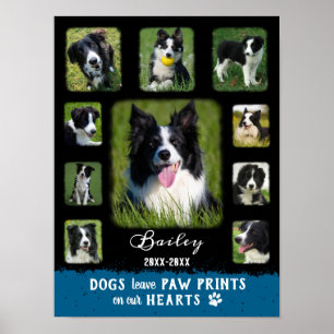 Dog Custom Foto Collage verblasste Grenzen Schwarz Poster