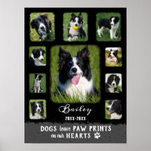 Dog Custom Foto Collage verblichene Grenzen Schwar