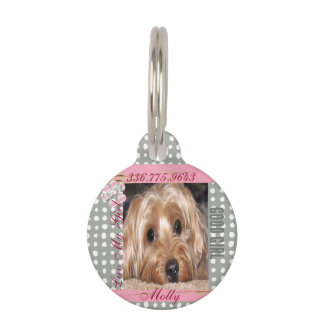 Dog Custom Foto Polka Dots Pet ID Tag Haustiermarke