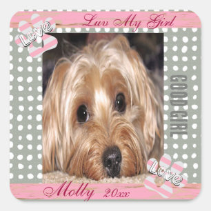 Dog Custom Foto Polka Dots Quadratischer Aufkleber