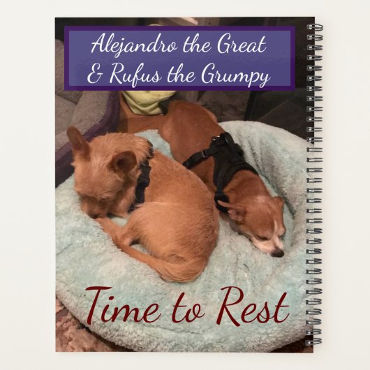 Dog Days Ideenplaner Planer (Rückseite)