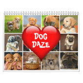 Dog Daze monatliche Kaninchen-Fotos & Quotes Kalender (Titelbild)
