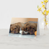 Dog De Bordeaux Dog Blank Grußkarte Karte (Gelbe Blume)