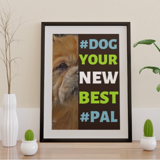 #Dog, dein neuer Bester #Pal ...tibetischer Spanie Poster