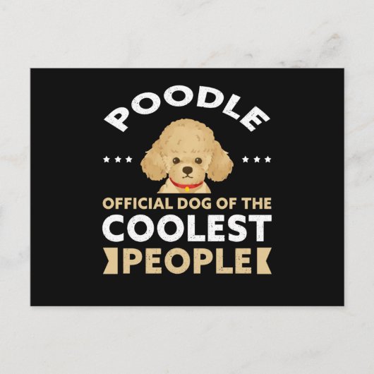 Dog des Coolsten | Hundebesitzer Poodles Postkarte (Vorderseite)