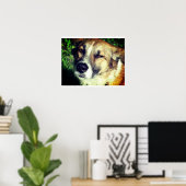 Dog face Foto Value Poster Paper (Matte) (Heimbüro)