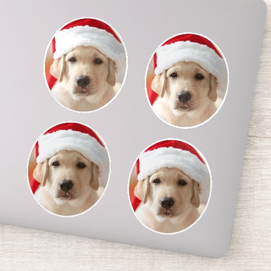 Dog Face Photo Custom Cut out Aufkleber (Detail)