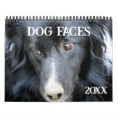 Dog Faces And Expressions Kalender (Titelbild)