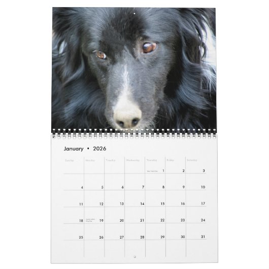Dog Faces And Expressions Kalender (Jan 2026)