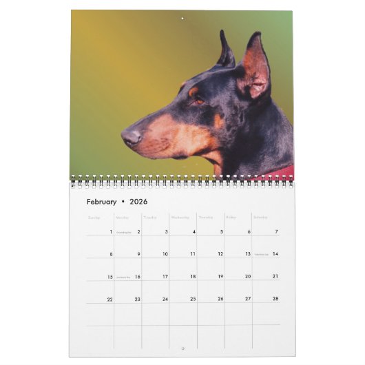 Dog Faces And Expressions Kalender (Feb 2026)