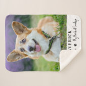 Dog Favorite Hallo Hardest Goodbye Pet Foto Sherpadecke (Vorderseite (Horizontal))