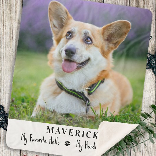 Dog Favorite Hallo Hardest Goodbye Pet Foto Sherpadecke