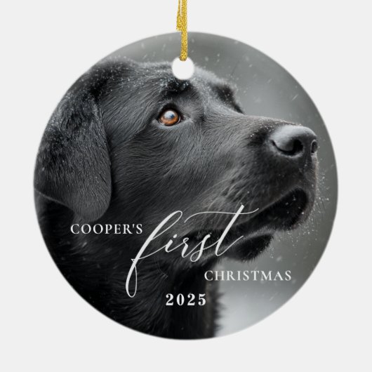 Dog First Christmas Script Ornament (Hinten)
