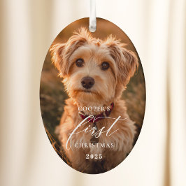 Dog First Christmas Script Ornament