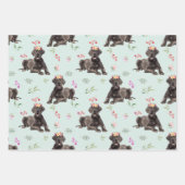 Dog Floral Great Dane Pattern, Dog Fan Geschenk Geschenkpapier Set (Vorderseite 3)