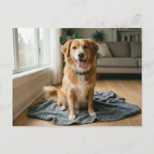 Dog Forever Home Announcement  Postkarte (Vorderseite)