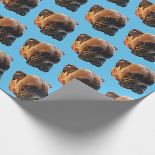Dog Foto Boxer Puppy Bright Blue Custom Geschenkpapier (Ecke)